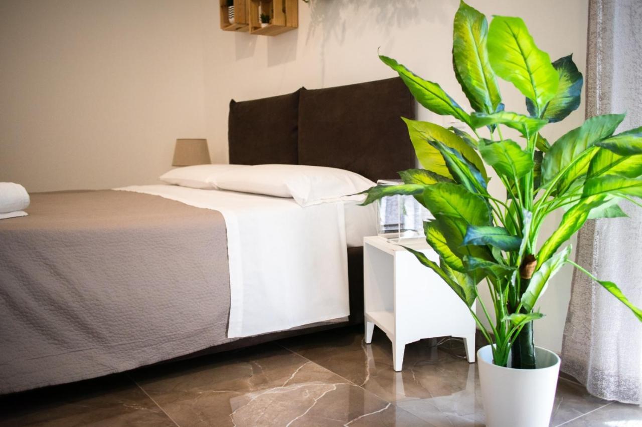 Suebi Rooms Termoli Exteriör bild